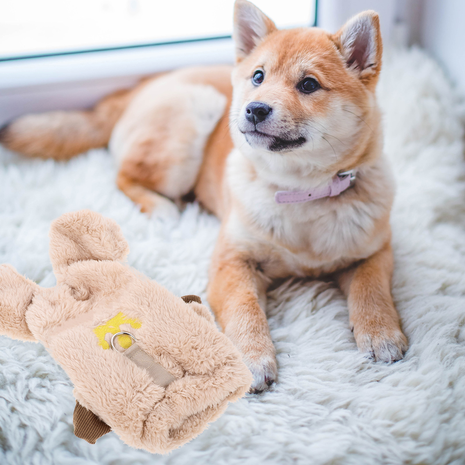 Kışlık Köpek Kazak, Soğuk Hava - Winter Clothing Photo incelemesi ve fiyatı